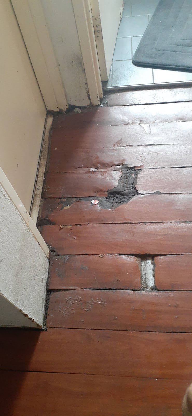 Damaged timber floorboards before repair